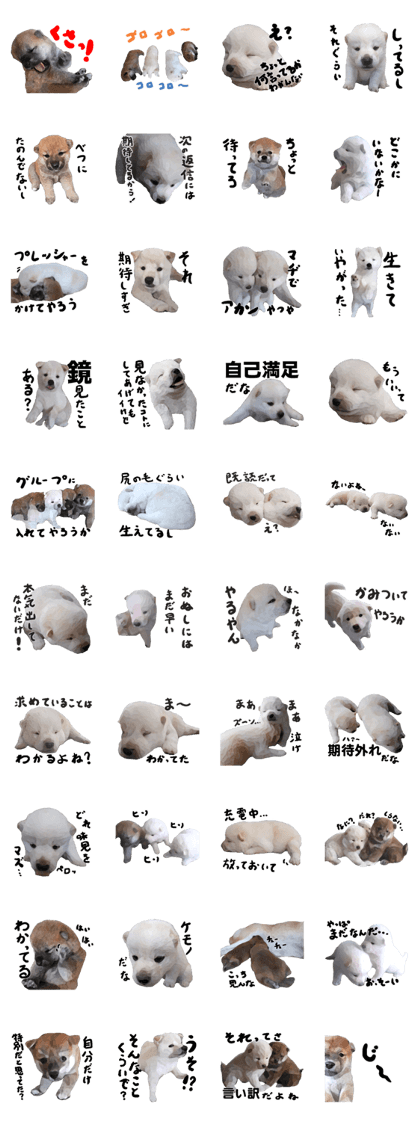 Sticker Shibainu(vol4)