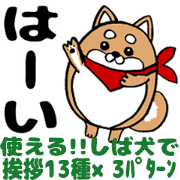 Marumaru-shibainu!