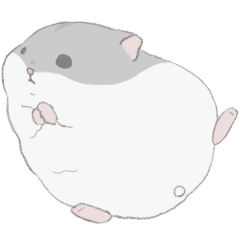 Cute dwarf hamster