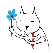 awkward white cat 2