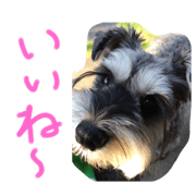 NaotoYamanaka_20200721121451