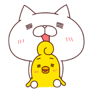 A Cat And A Chick