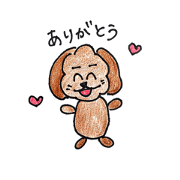 toy poodle love