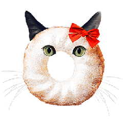 Donut Cat Chick