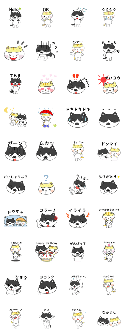 Of cat Chobi and Minnie