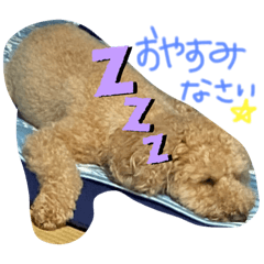 rina_20200721070853