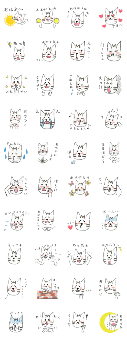 Browntabby cat Mamesuke