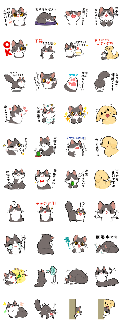 KOTARO & MERIA