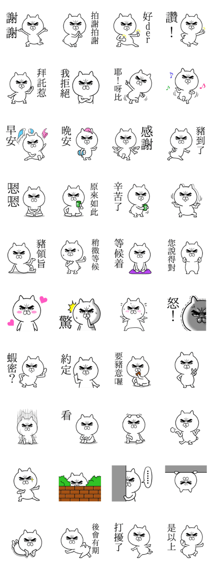 Attractive eye's cat (Taiwan ver.)