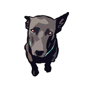 Taiwan Dog