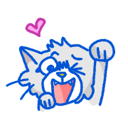The Option Nyancy