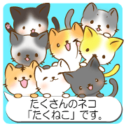 Takuneko