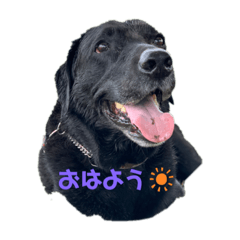 tetsu_20200720233323