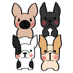 French Bulldog- Bu Dou Family
