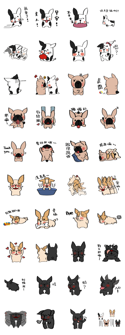 French Bulldog- Bu Dou Family