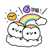 Mamefuku of barn owl6