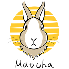 Matcha_rabbit
