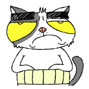 grumpy face cat ojisan