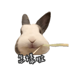 陳小希日常