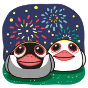 QQ Java Sparrow 3 : Summer