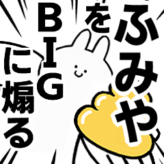 BIG Rabbits feeding [Fumiya]