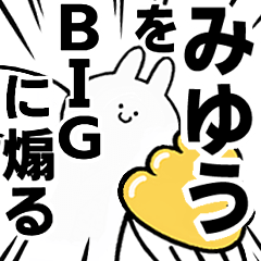 BIG Rabbits feeding [Miyuu]