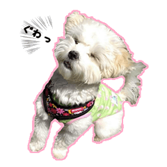 Puppy Sticker(lulu2)