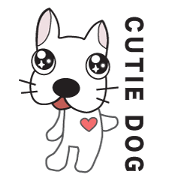 dog in the city