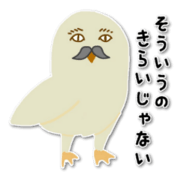 Fanny birds
