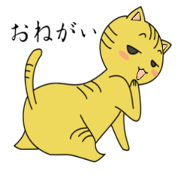 Tabby 120%