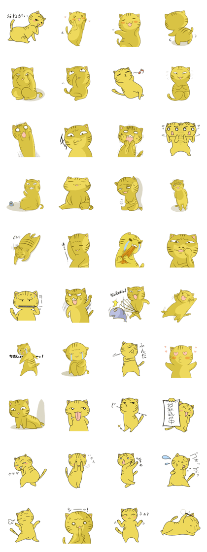 Tabby 120%