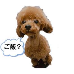 aoi_20200721194359