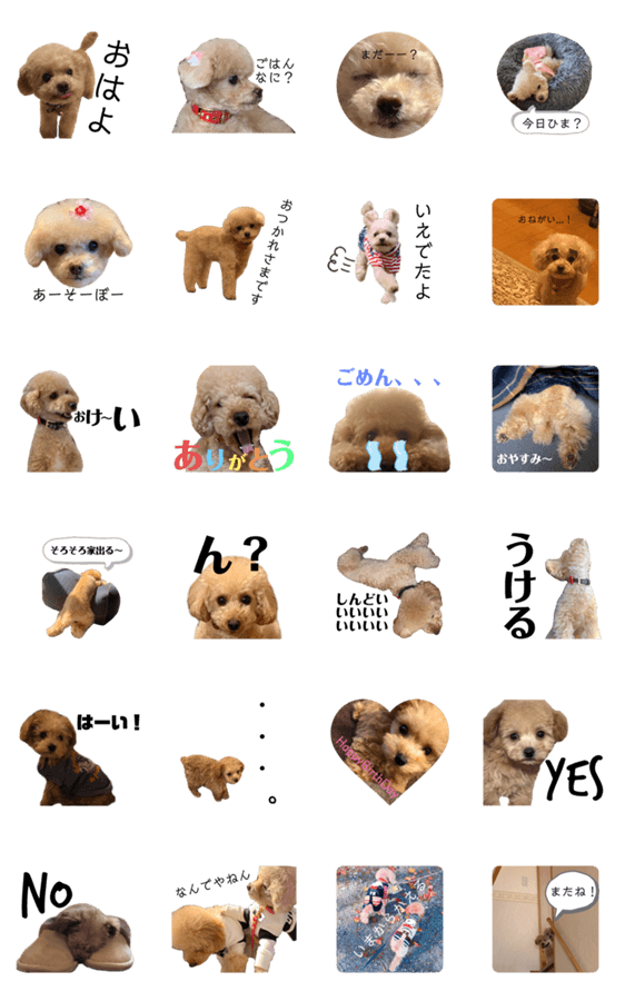T家のお犬様1 Lineクリエイターズスタンプ Stamplist