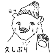A lovely white bear