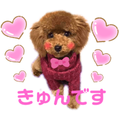 coco.0721