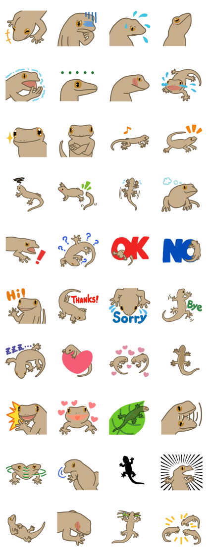 Daily life of gecko