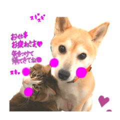 saya_20200721220738