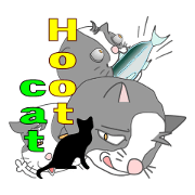 Hoot cat