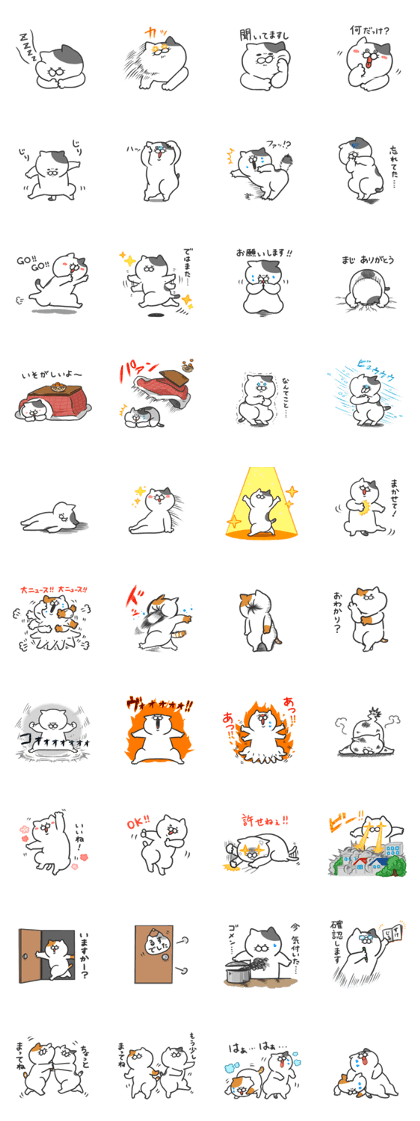 Funny cats of nojako3