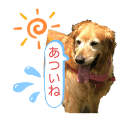 ももの気持ちのおすそ分け