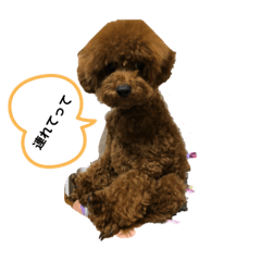 aoi_20200722093630