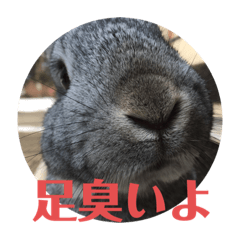 Matsu_20200721181512