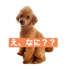 mochi_20200721220713