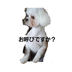 daihukuan_20200721211746