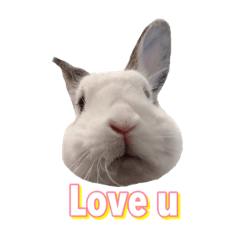 不傲嬌就不是Queen