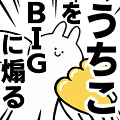BIG Rabbits feeding [Uchiko]