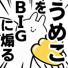 BIG Rabbits feediing [Umeko]