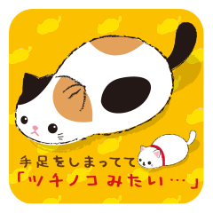 Tsuchineko best sale