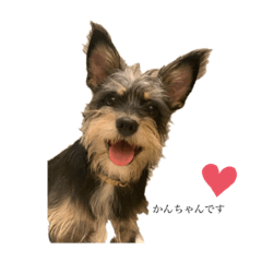 ayumi_20200722084036