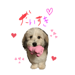Rina_20200722083628